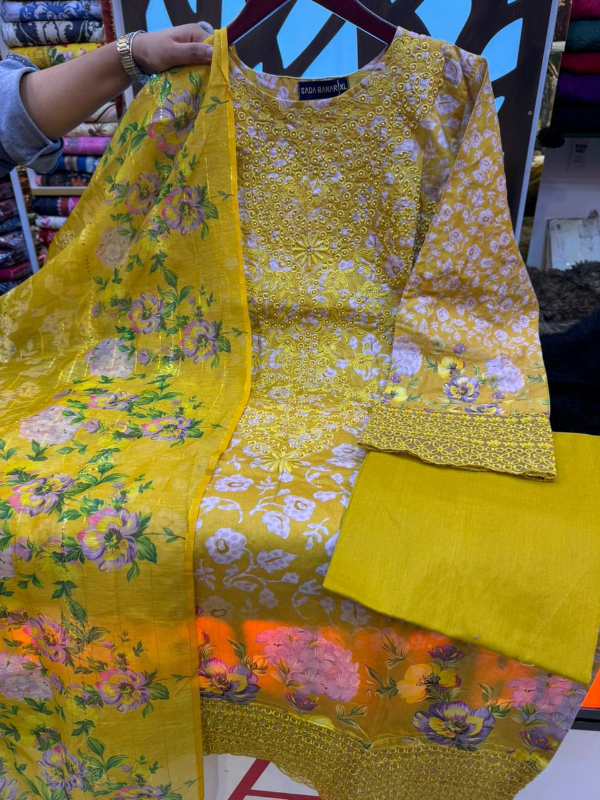 Premium Pakistani stitched dress collection 3 pcs